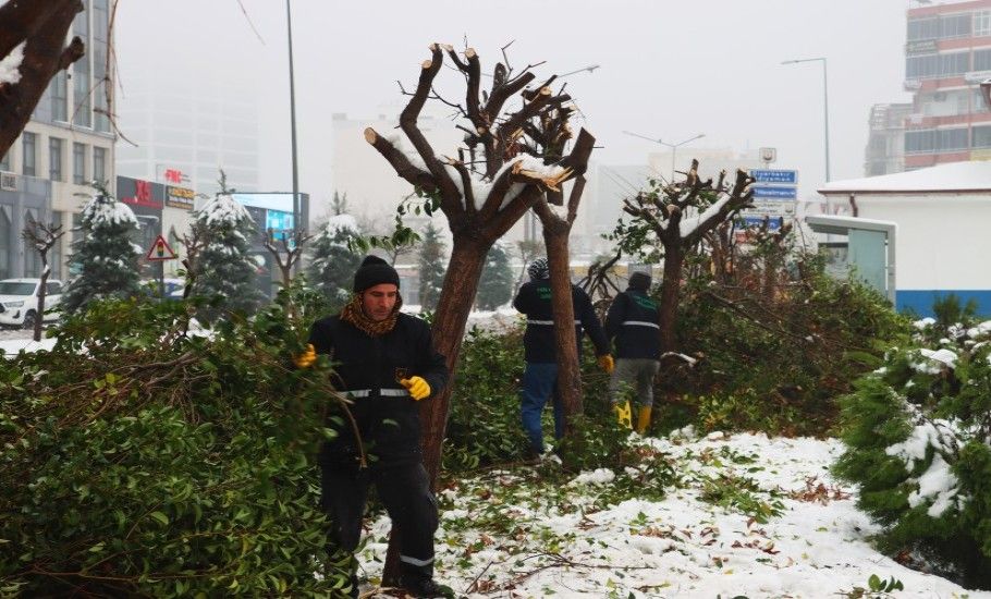 ŞANLIURFA'DA VATANDAŞLARIN CAN GÜVENLİĞİ ÖN PLANDA