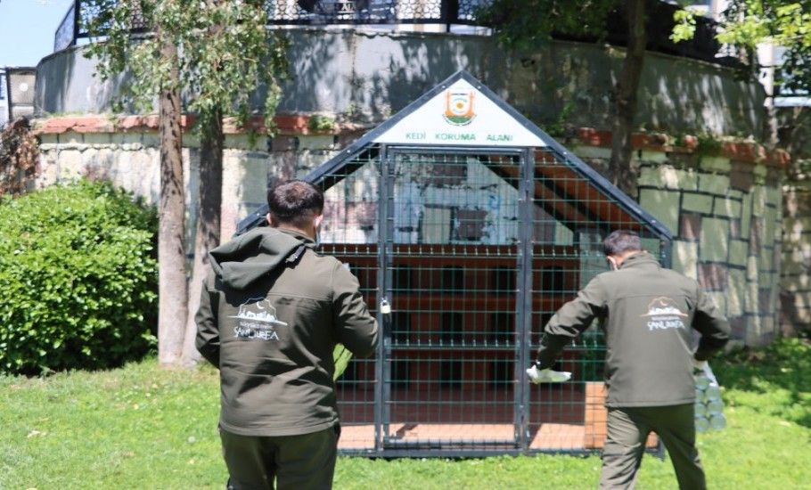 BÜYÜKŞEHİR BELEDİYESİ’NDEN SOKAK KEDİLERİ İÇİN ÖRNEK PROJE